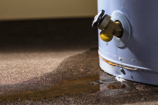 Best Carpet water damage restoration  in Morenci, MI