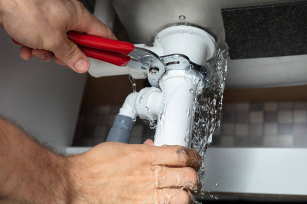 Best Water damage mitigation services  in Morenci, MI