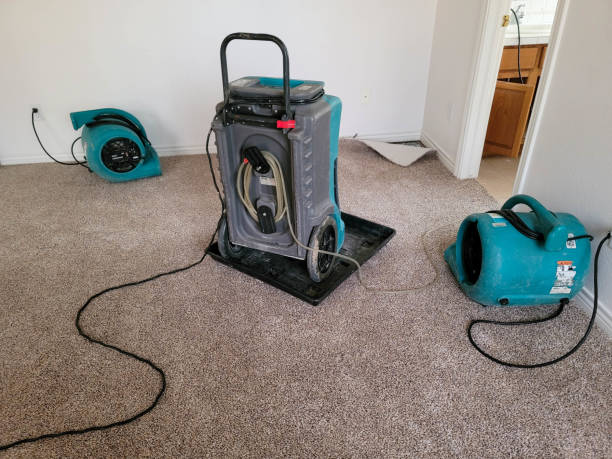 Best Carpet water damage restoration  in Morenci, MI