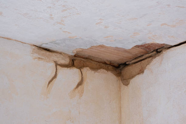 Best Emergency water damage restoration  in Morenci, MI