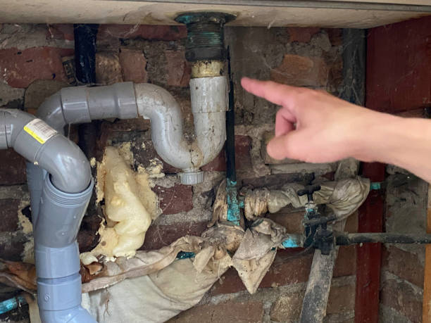 Best Sewage cleanup and water damage restoration  in Morenci, MI